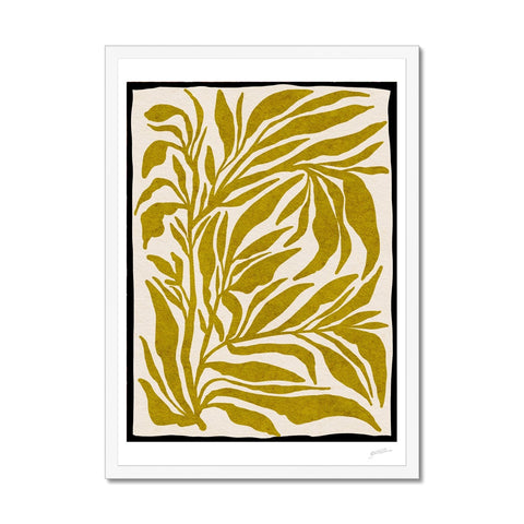 Ferns Framed Print